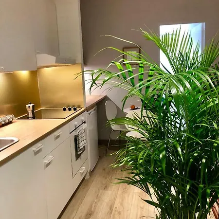 Cool & 2 Bedroom In Heart Of Eaux-vives